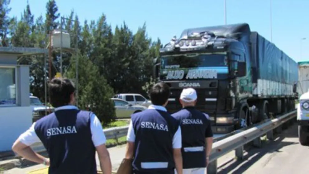 El Senasa inspeccionó más de mil transportes con animales en pie