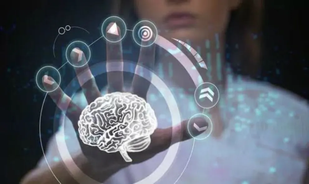 Descubren una parte del cerebro que no madura hasta los 36 años