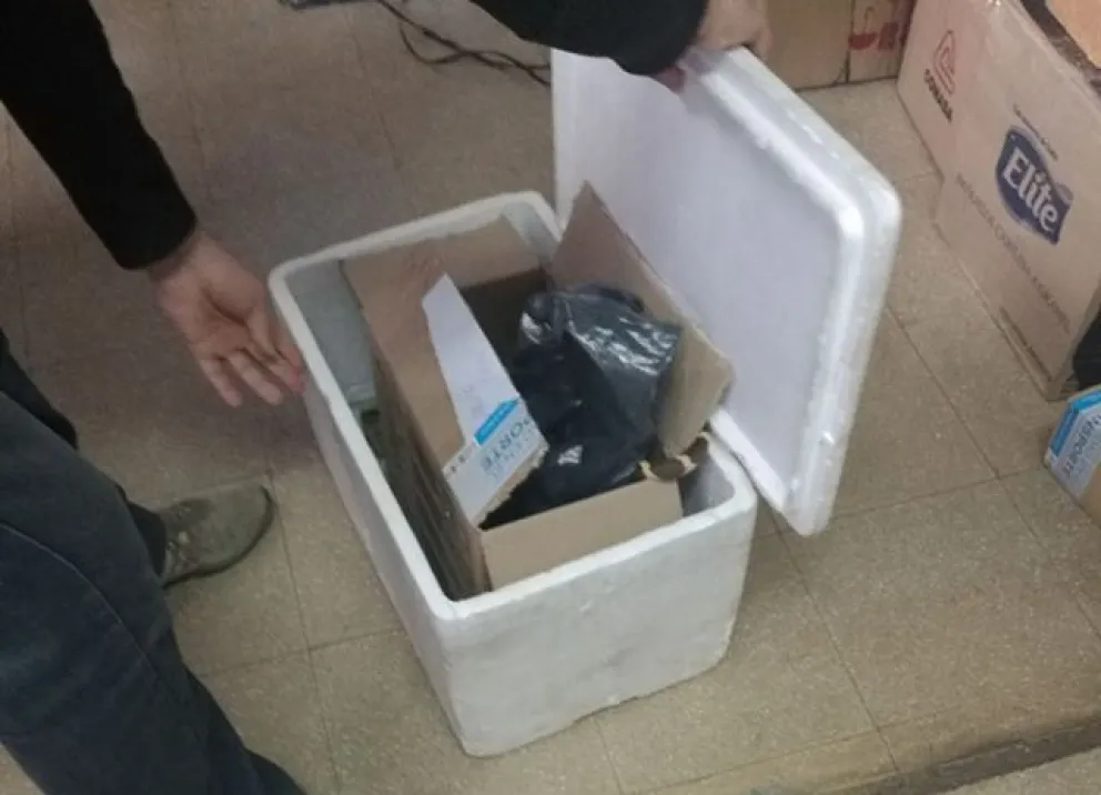 Encontraron una víbora en un colectivo de larga distancia