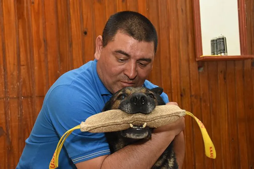 Marcos Herrero y una dolorosa tarea que sana heridas