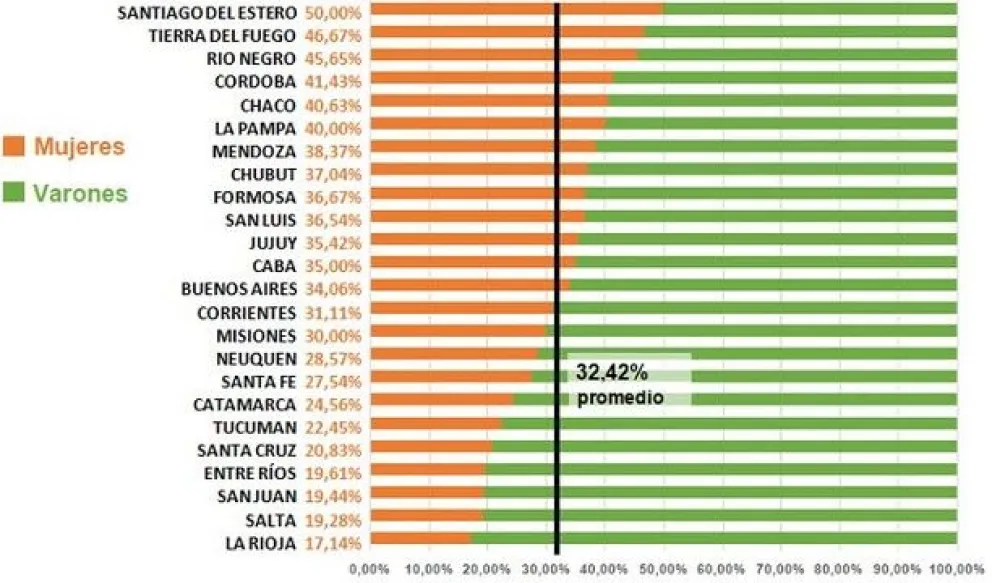 Sólo 3 de cada 10 legisladores provinciales son mujeres
