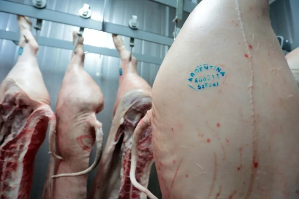 La faena en San Javier brinda productos de calidad