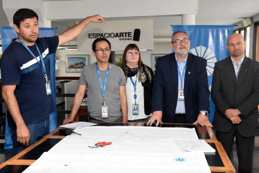 Las gaviotas y su interferencia en los vuelos