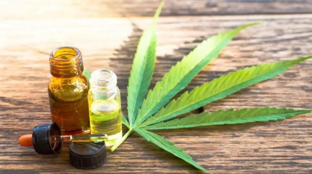Cannabis medicinal: avance legislativo en Río Negro