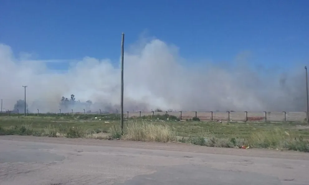 Vándalos provocaron un importante incendio en el prebasural de Viedma