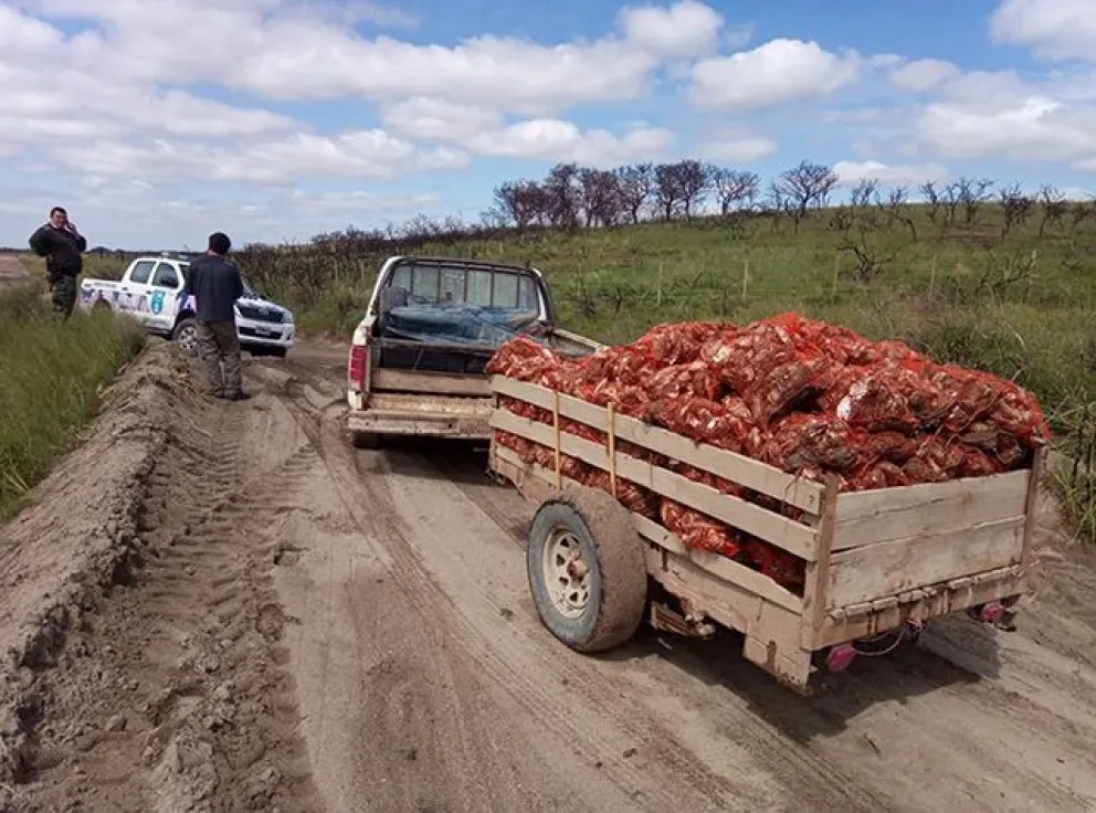 La superpoblación de ostras y la venta ilegal es un problema en Los Pocitos