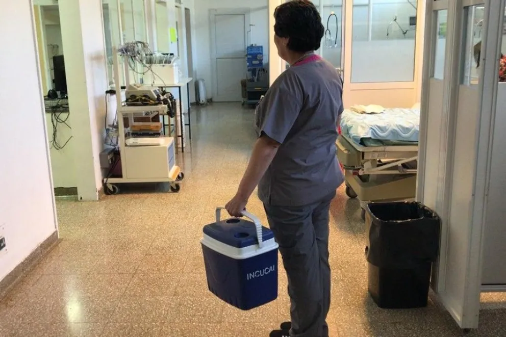 Se realizó el quinto operativo de ablación en el año