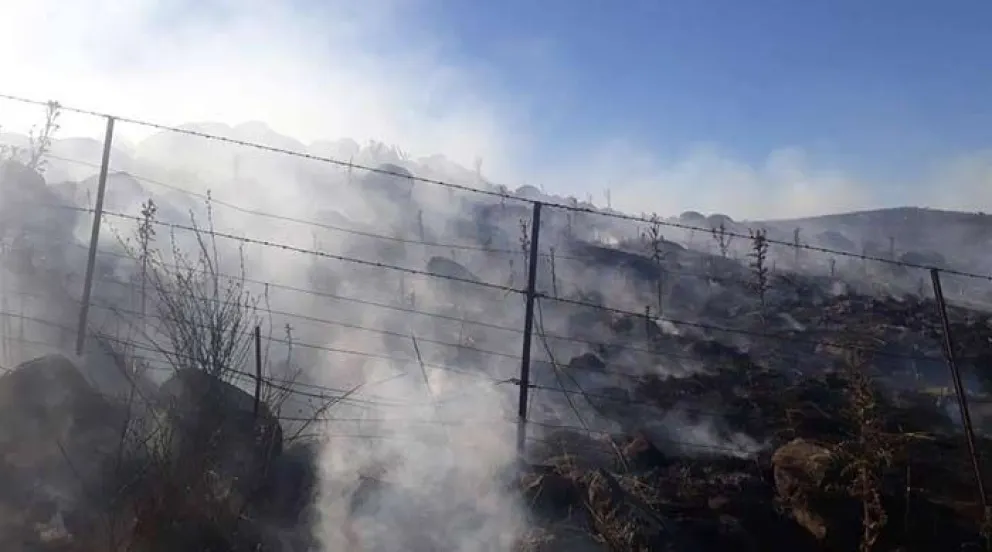 Se incendiaron más de 20 mil hectáreas en Coronel Pringles