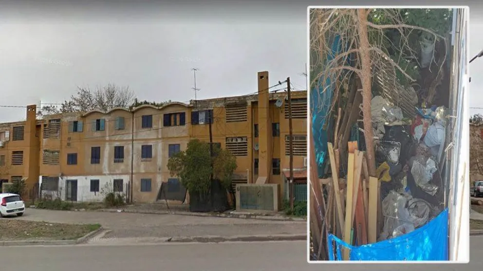 Denuncian a una cipoleña por convivir con 20 gatos y un basural
