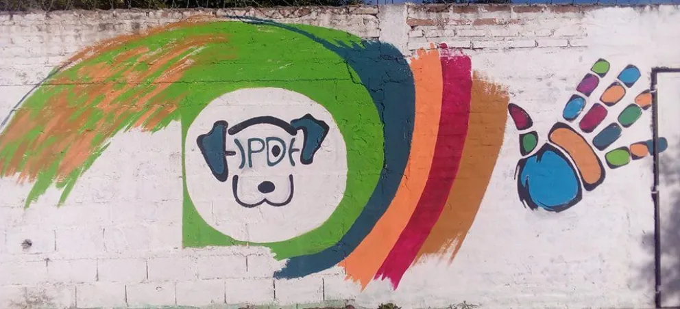 Patagones: el Refugio de Perros no da abasto con las atenciones