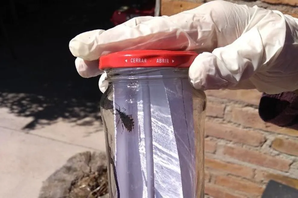 Río Negro se mantiene libre de transmisión de Chagas