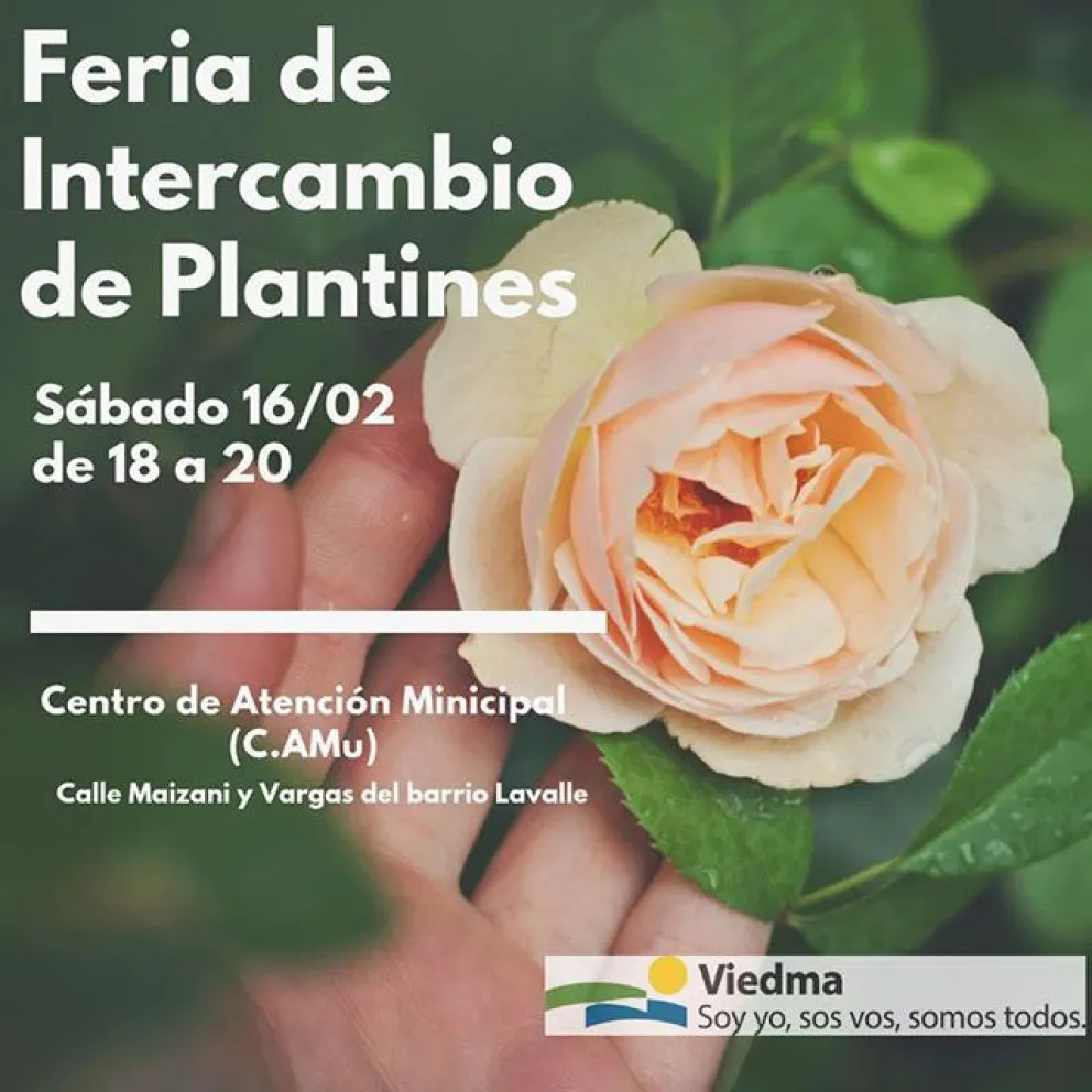 Intercambio de Plantines en el Centro de Atención Municipal