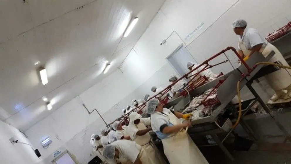 Merluza y langostinos desde San Antonio Oeste hasta Chile