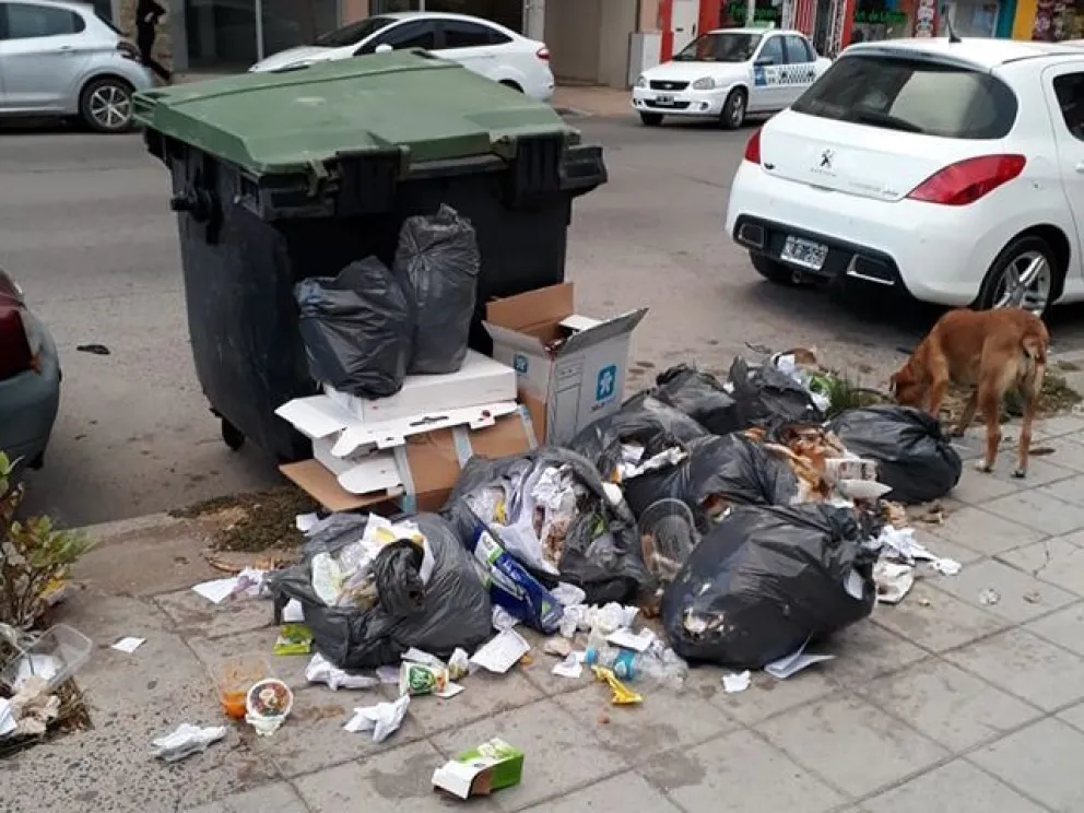 La basura en Viedma sigue sin control