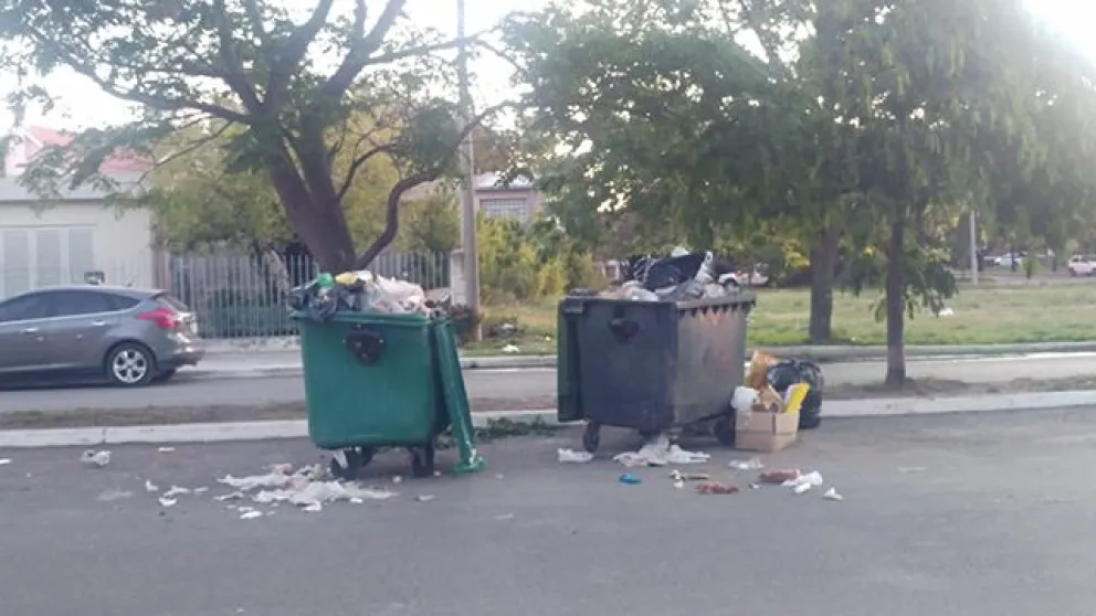 Persisten los problemas de la basura