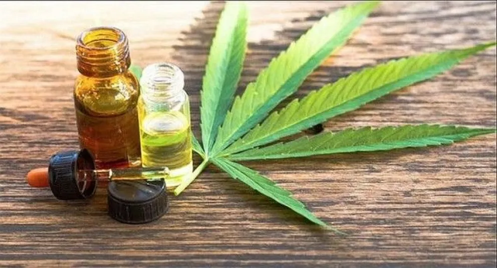 Cannabis medicinal: fallo a favor de un niño