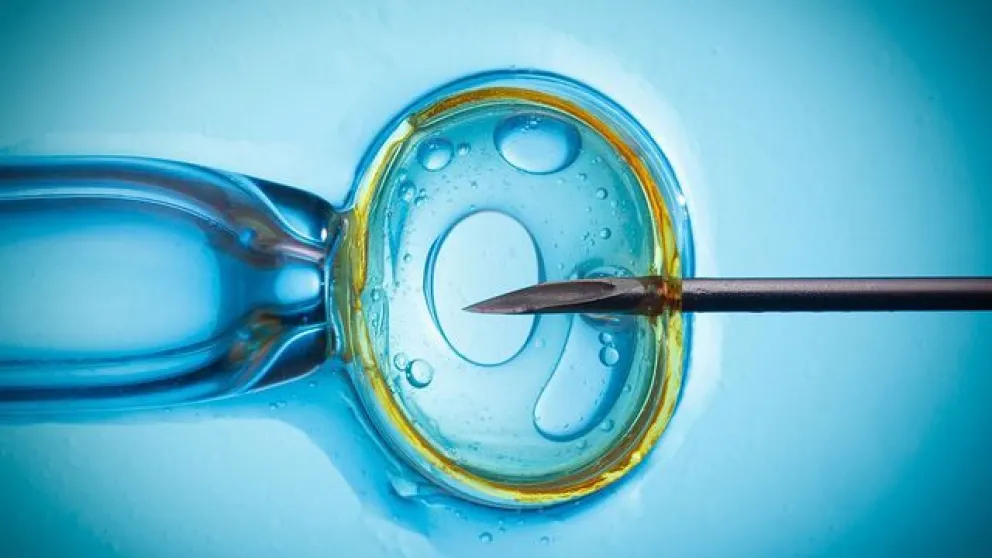 Fertilización asistida desde Bariloche