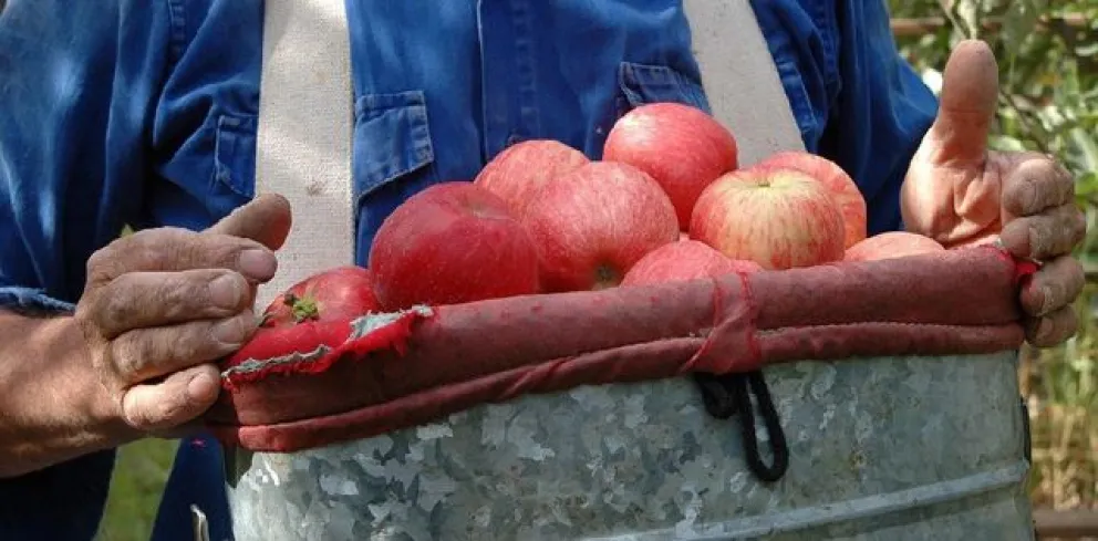"Es la peor época de la historia de la fruticultura"