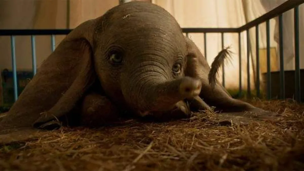 Se lanza la nueva película  de Dumbo