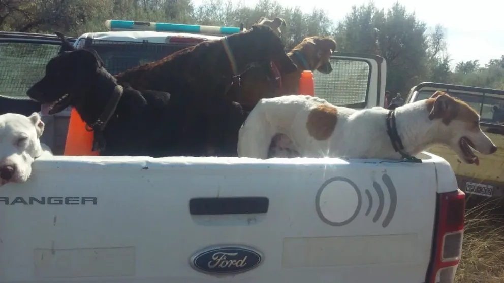 Detuvieron a tres sujetos en un campo de Guardia Mitre