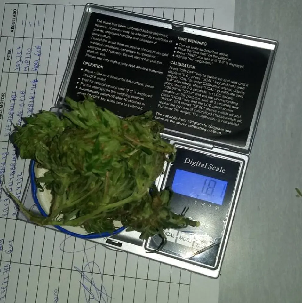 Jóvenes detenidos con plantas de marihuana