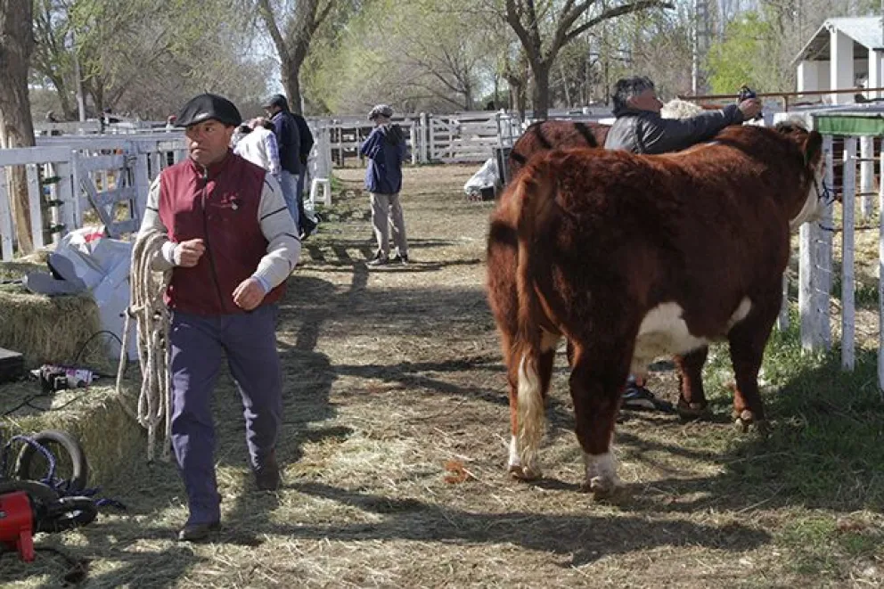 La Sociedad Rural de Patagones renovó su presidencia