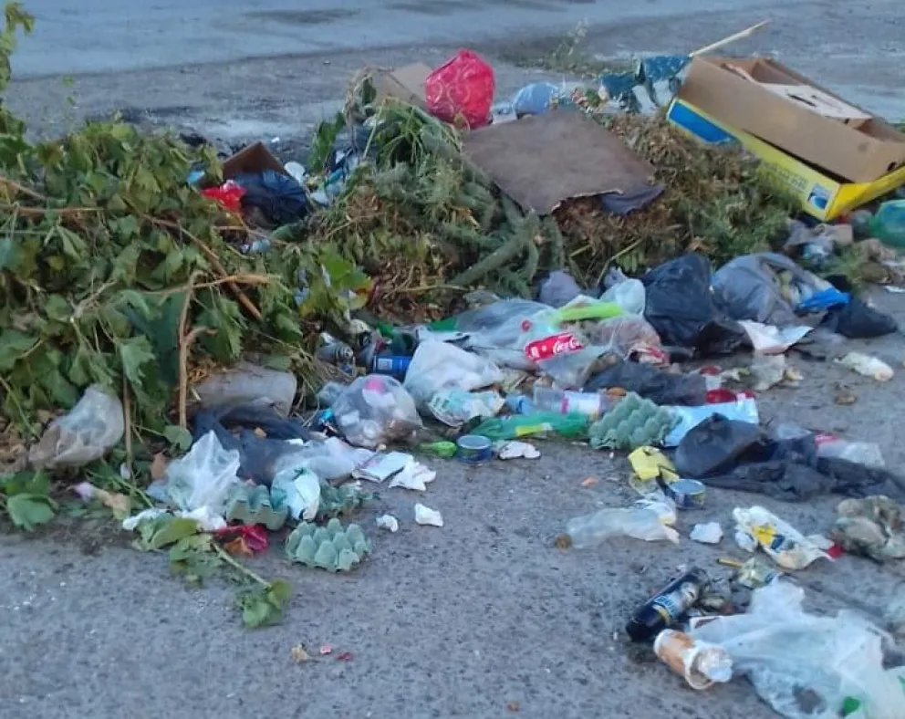 Otra vez problemas con la basura