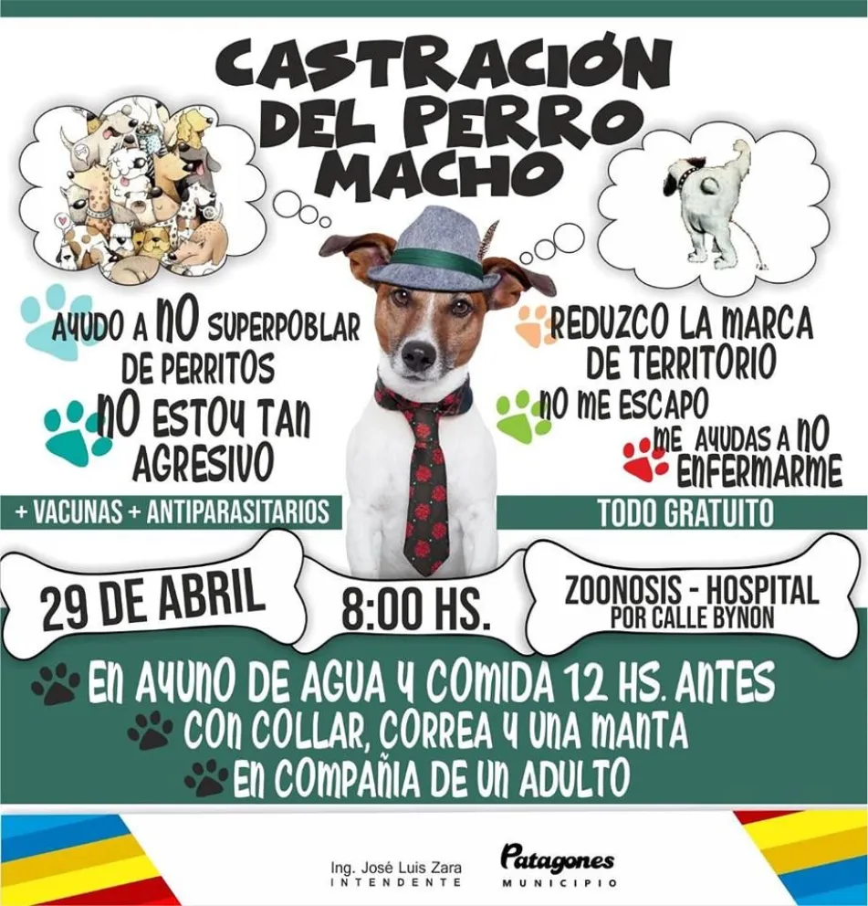 Castran a perros machos en Patagones