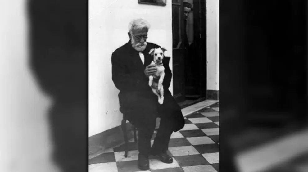 ¿Por qué hoy se celebra el Día del Animal?