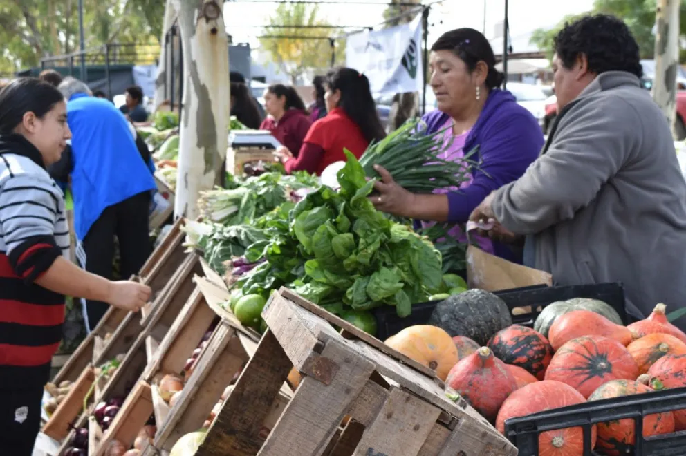 Se realizará la tercera Feria Agroecológica de la comarca