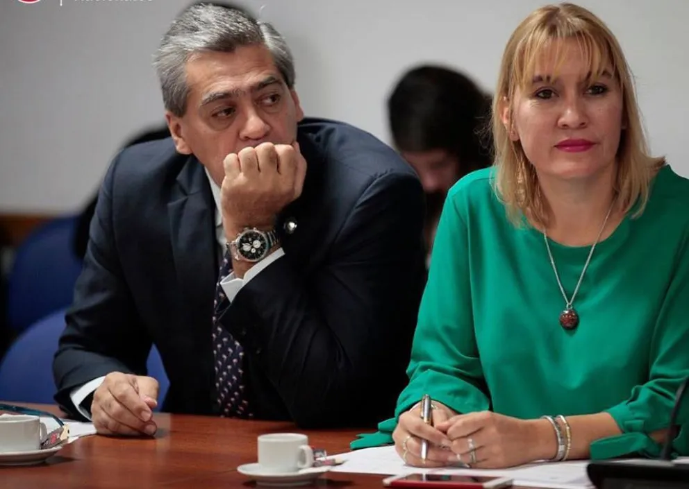 Matzen presentó un proyecto de ley para reducir el gasto político