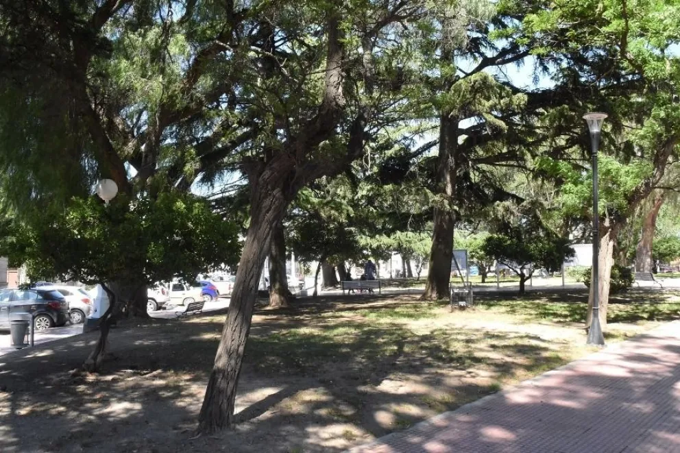 Menor detenido con marihuana en la plaza 7 de Marzo