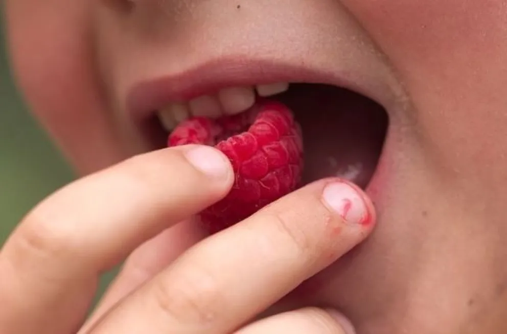 5 claves para que los niños coman más sano