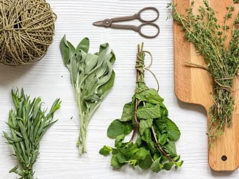 4 técnicas para conservar las hierbas aromáticas