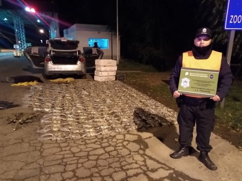 Decomisaron 297 kilogramos de ostras