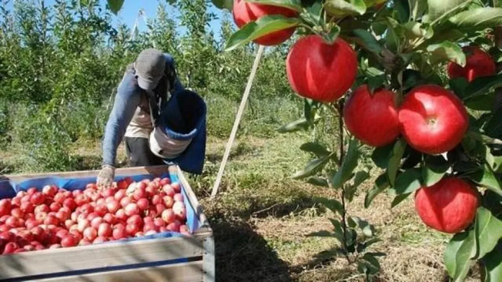 Se prorrogó la emergencia frutícola por un año