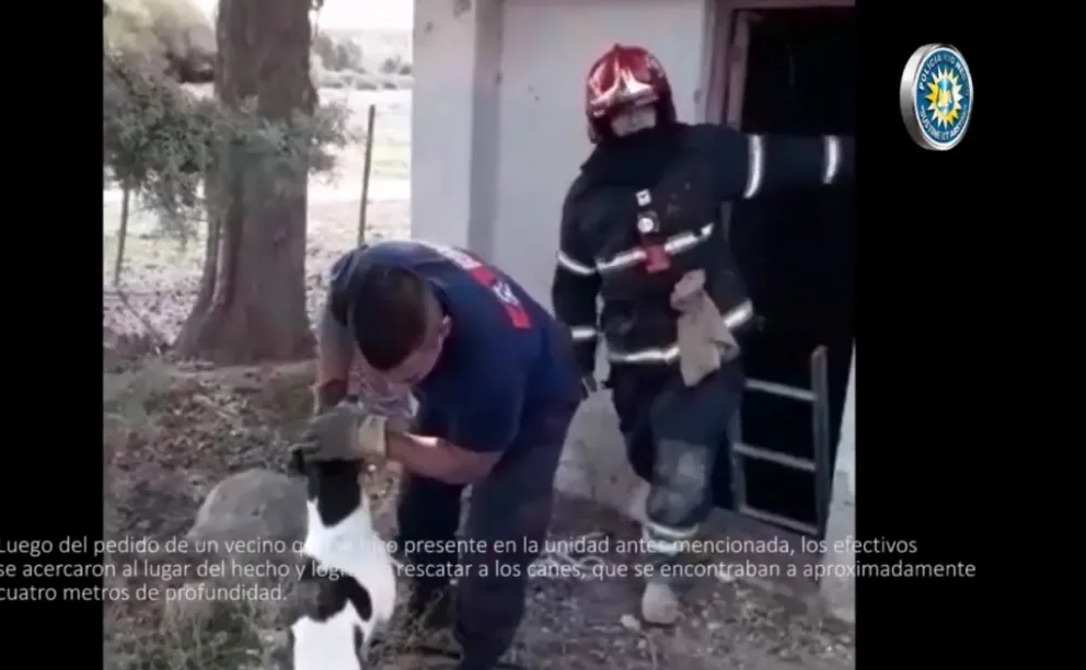 Bomberos de San Javier rescataron a dos perros