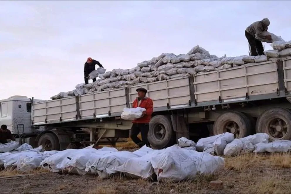 Comenzó la distribución de leña