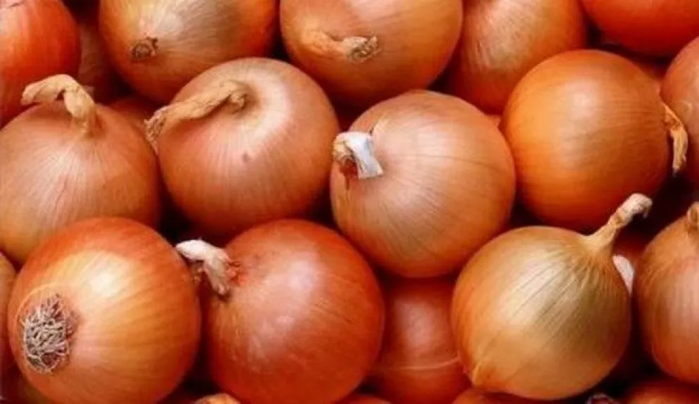 Alberto Fernández estaría en Bariloche para el lanzamiento de Unidad Ciudadana