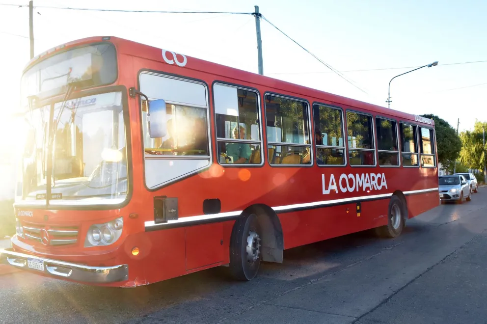 Este viernes entregarán tarjetas del boleto estudiantil