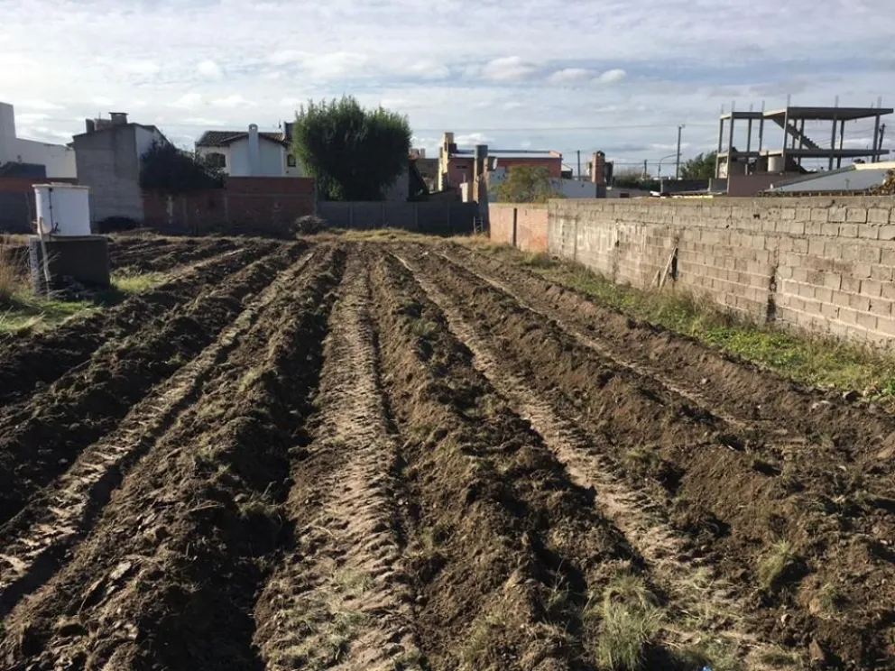 Avance de las huertas comunitarias en Viedma