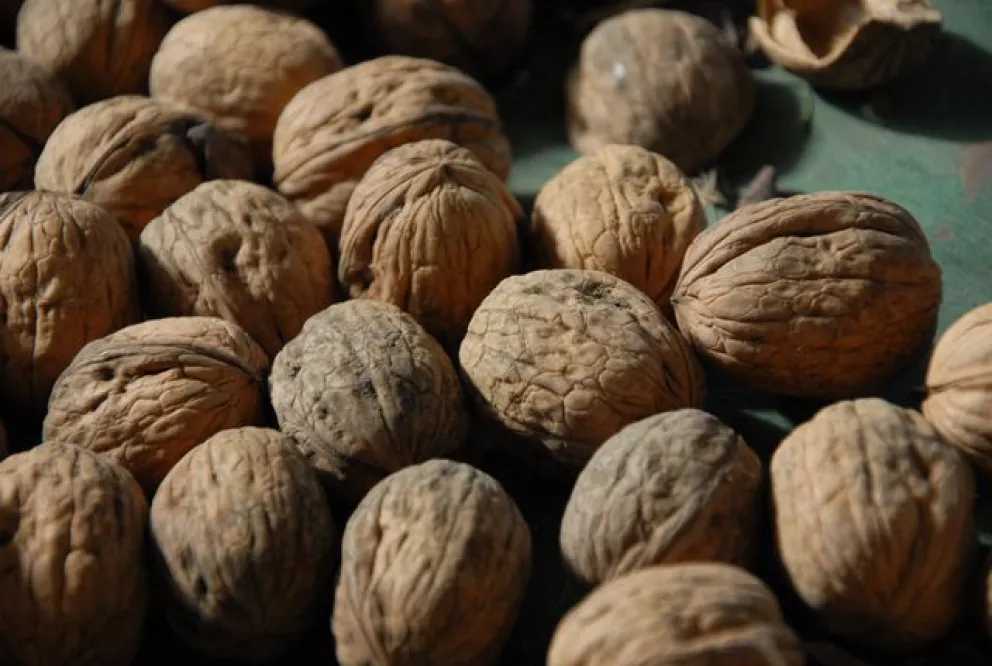 Todo listo para la Fiesta de los Frutos Secos
