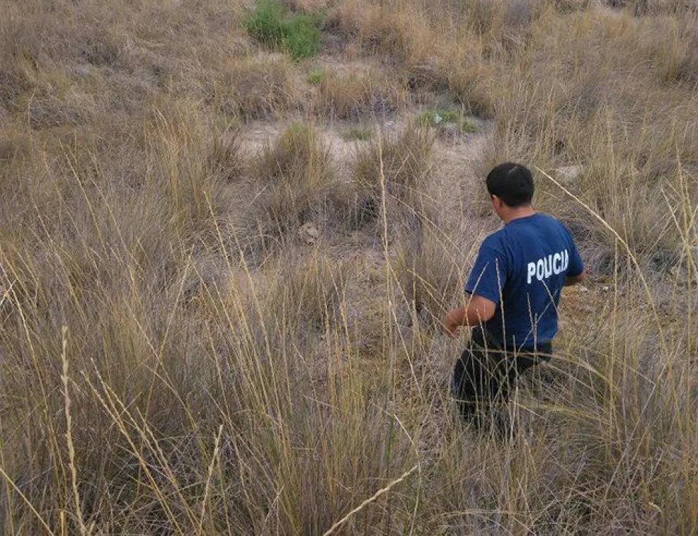 Bugiolacchi sobre abigeato: "A la Justicia le importa tres pepinos"