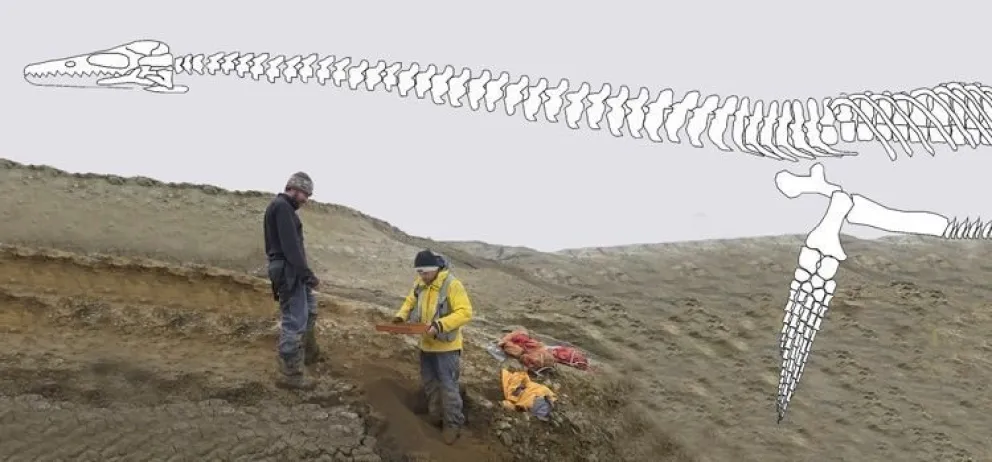 Descubren un reptil gigante de la última época de los dinosaurios
