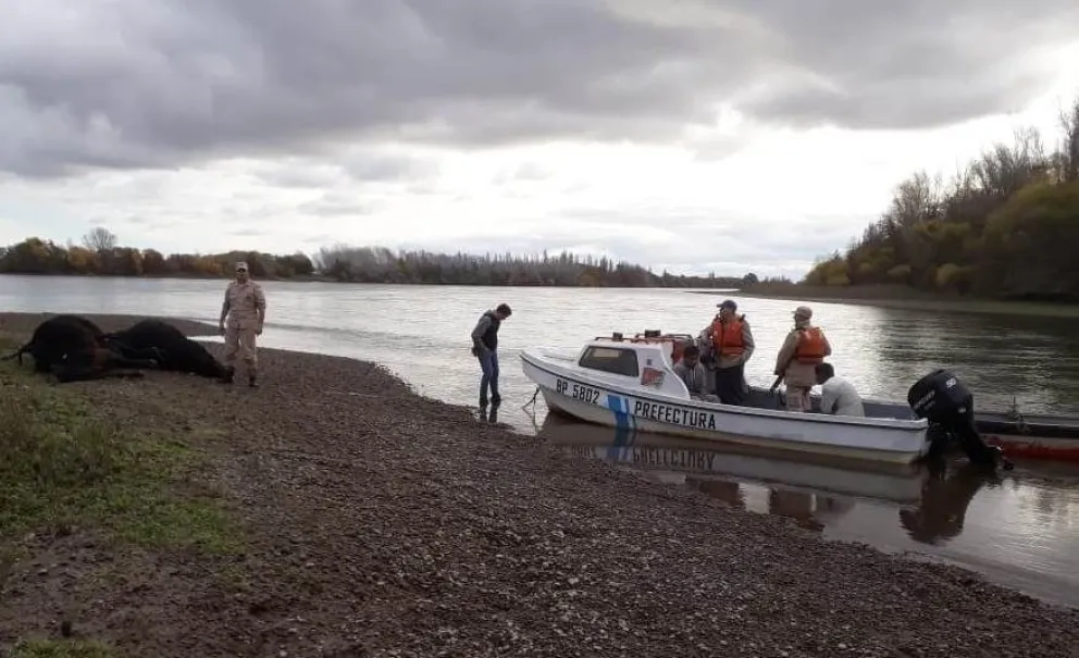 Detenidos por abigeato en el río, continuarán en la Unidad Penal 4