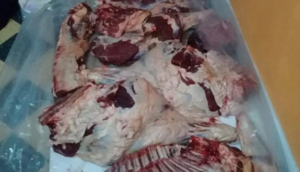 Decomisaron 200 kilos de carne en Choele Choel