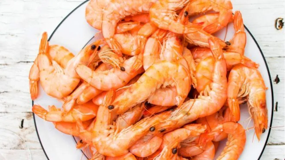 Se reabre el mercado de langostinos a Brasil
