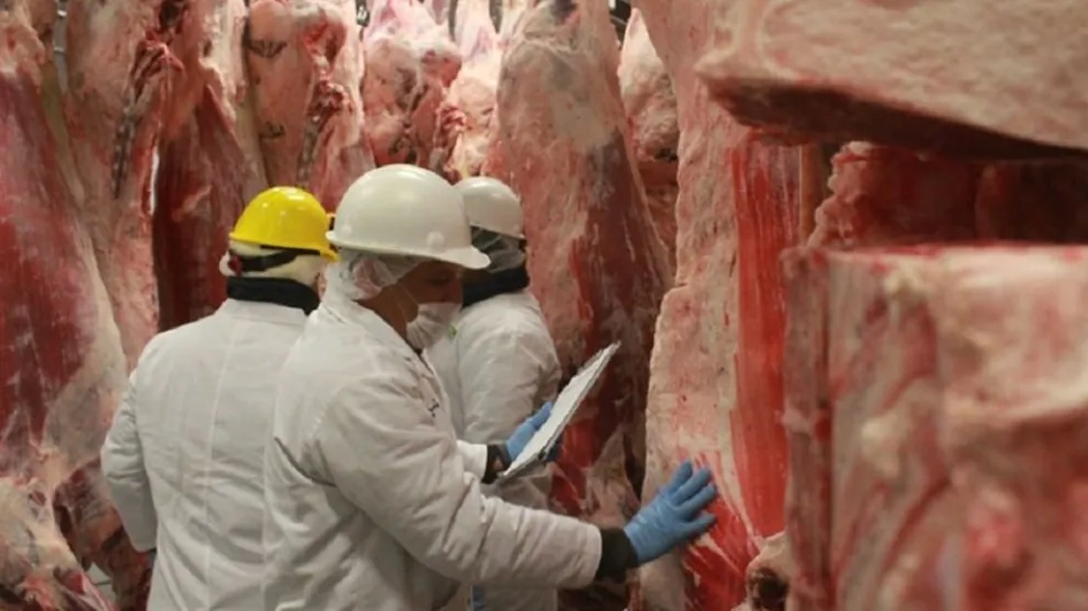 El 75% de la carne vacuna argentina se exportó a China