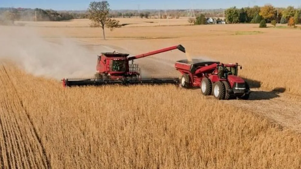 El USDA repitió las proyecciones en soja y maíz en Argentina