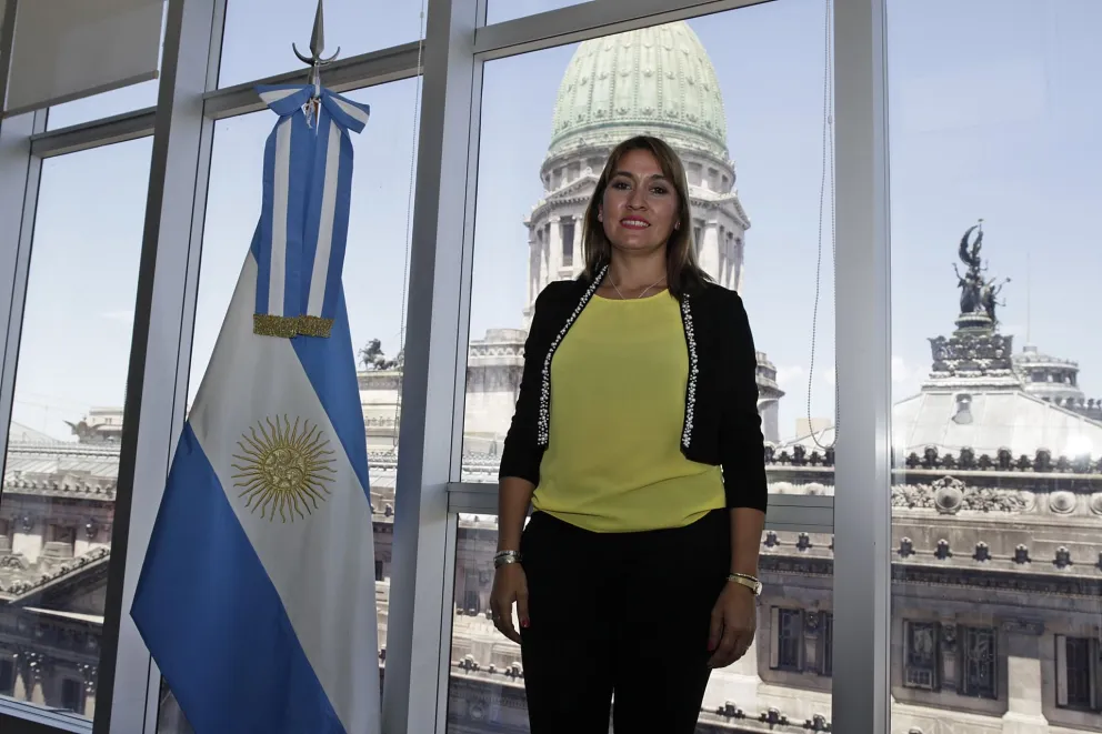 "Pichetto garantiza gobernabilidad"